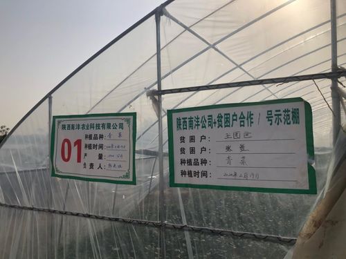 三方協(xié)同加碼，以技術(shù)轉(zhuǎn)讓與咨詢助推脫貧攻堅(jiān)